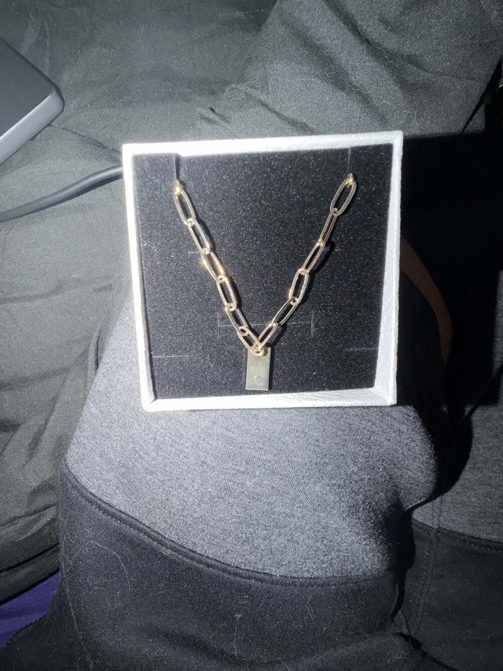 TASISO Initial C Paperclip Link Chain Necklace (N400)